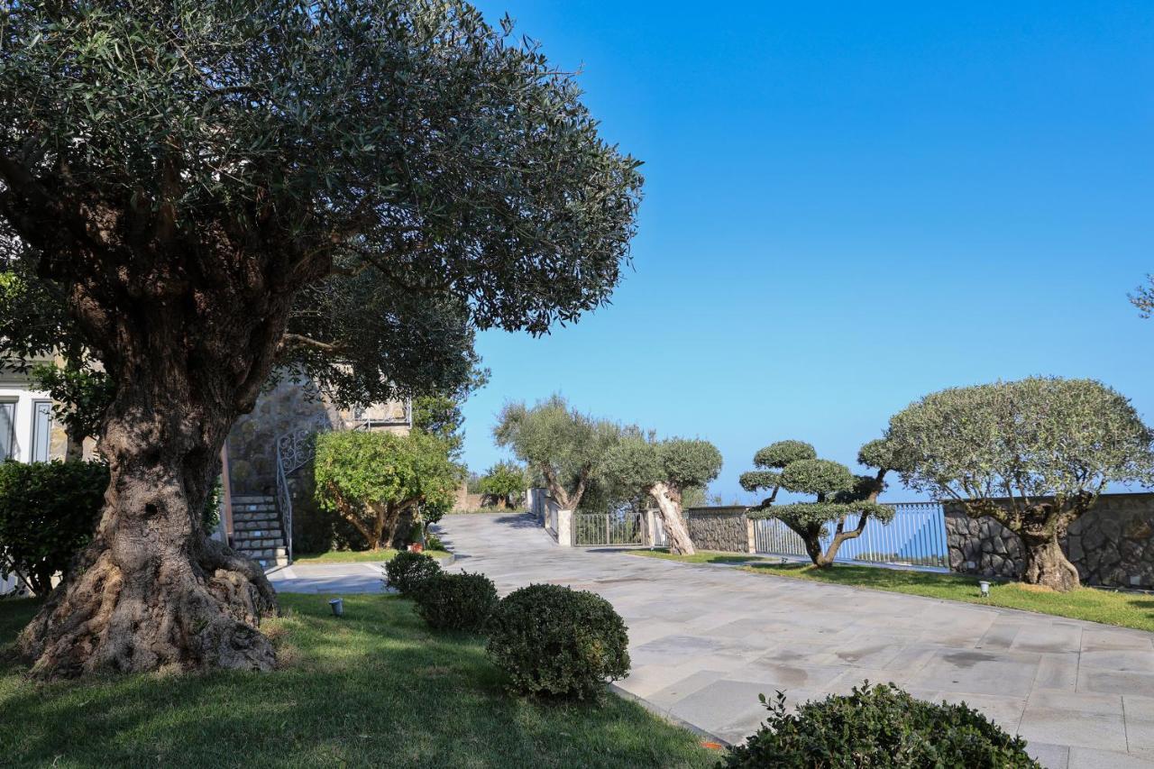 Villa Italia Sorrento Termini Bagian luar foto