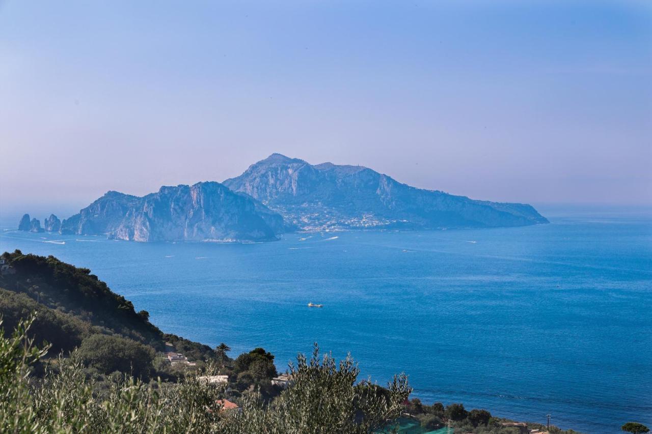 Villa Italia Sorrento Termini Bagian luar foto