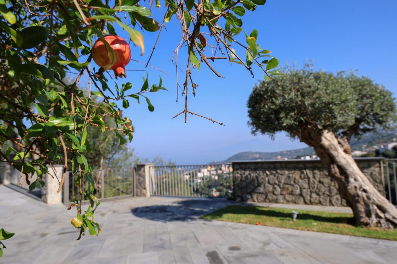 Villa Italia Sorrento Termini Bagian luar foto